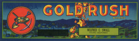Gold Rush